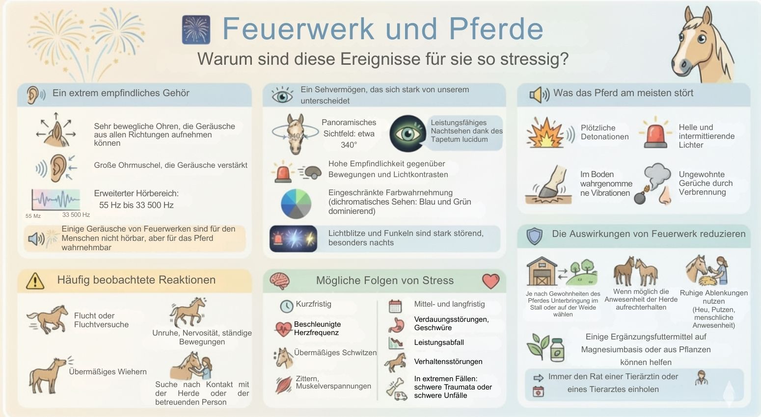 Feux d'artifices cheval